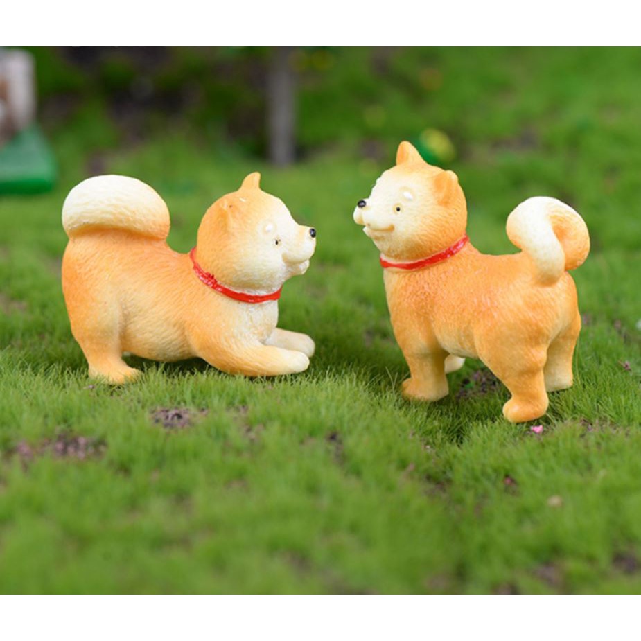 Tiểu cảnh chó shiba