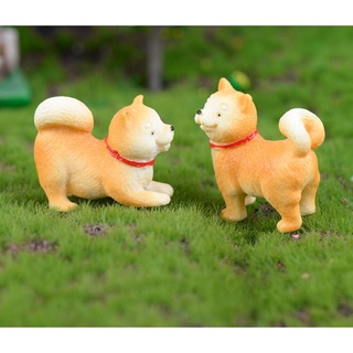 Tiểu cảnh chó shiba