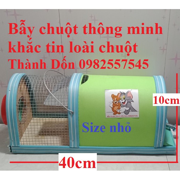 Combo 02 Bẫy chuột thông minh – size trung + nhỏ