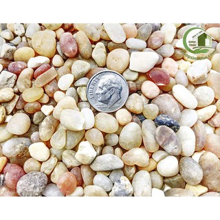 1kg đá sỏi màu hỗn hợp lớn - đá  trang trí trồng cây - trang trí bể cá - sân vườn