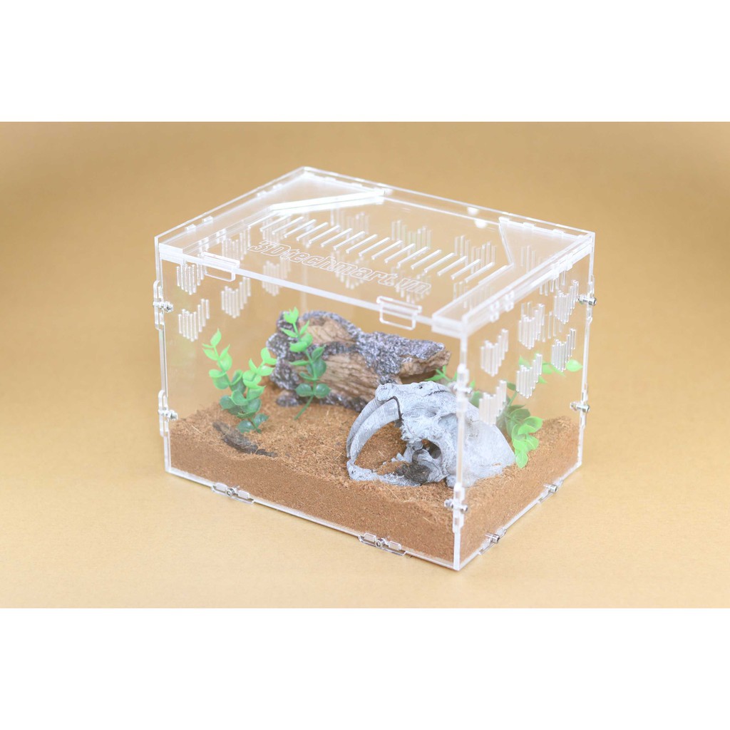 Hộp Nuôi Nhện Cao Cấp 20-15-15 (tank tarantula)