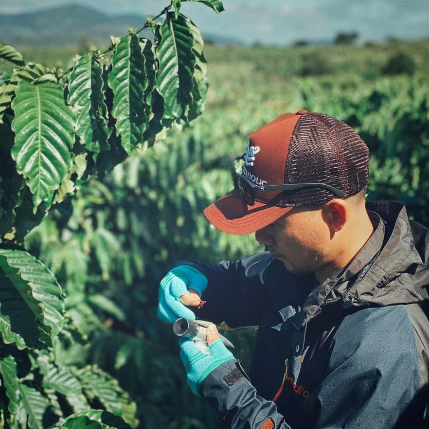 Coffee phin giấy arabica nguyên chất rang xay EARLY MORNING, cà phê phin túi lọc túi 10 gói | BigBuy360 - bigbuy360.vn