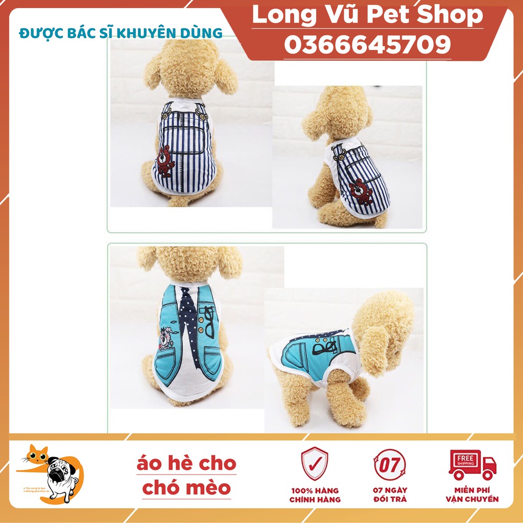 Áo hè cho chó mèo kiểu dáng thời trang fashion