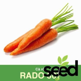 Hạt Giống Cà Rốt Dễ Trồng 5Gram