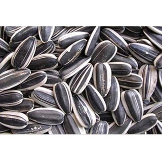 1kg hạt hướng dương