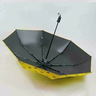 Ô, dù hình gấu đủ màu
