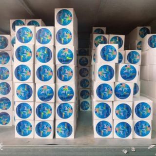 Dây cước câu cá