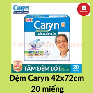 TẤM ĐỆM LÓT SIÊU THẤM CARYN 20 MIẾNG