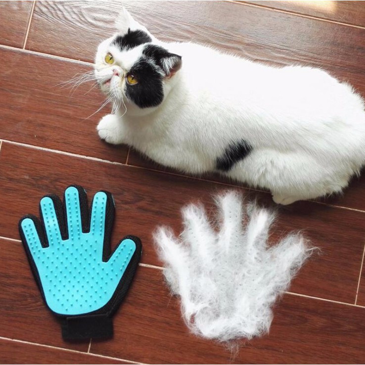 [Siêu HOT] Găng tay chải lông chó mèo siêu tiện lợi, không gây đau