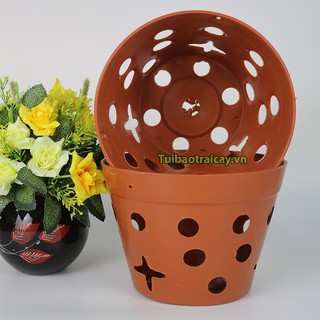 Chậu trồng lan phi 23cm - CN15