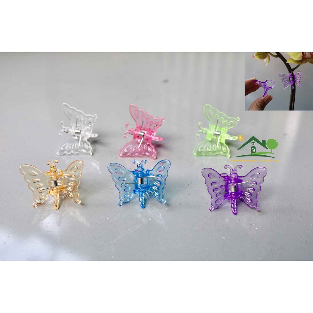 Mã 03- Sét 20/50 Kẹp bướm size lớn cố định cành lan trang trí cây cảnh có 6 màu