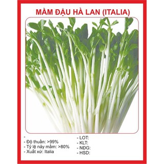 50gram hạt mầm đậu hà lan