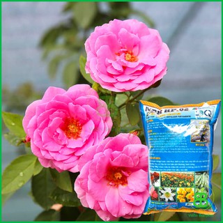 Phân Hữu Cơ Đạm Cá Viên Hải Phong 1KG - Giàu Dinh Dưỡng Cho Rau Hoa Kiểng