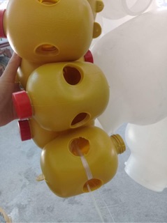 Bộ thuốc dẫn dụ ruồi vàng đục trái