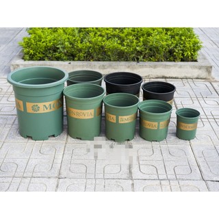 Chậu Monrovia VIỆT NAM 2GL ĐEN 23X22CM
