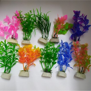 [Chọn mẫu ngẫu nhiên] Bộ 2 Cây Rong Mini cao 13 cm Trang Trí Hồ Cá, Bể Cá-Hòn Non Bộ,..