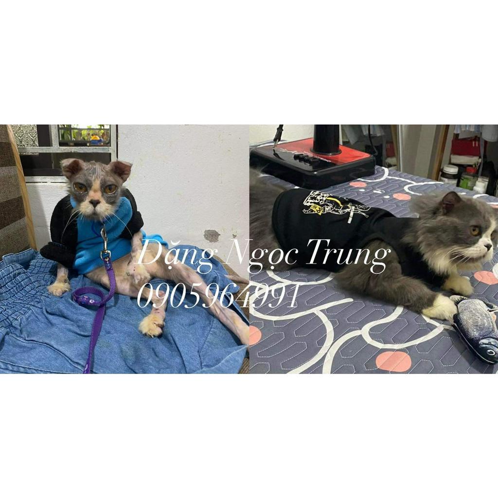 Viên ăn nấm, ghẻ, viêm da cho chó 50day-5kg