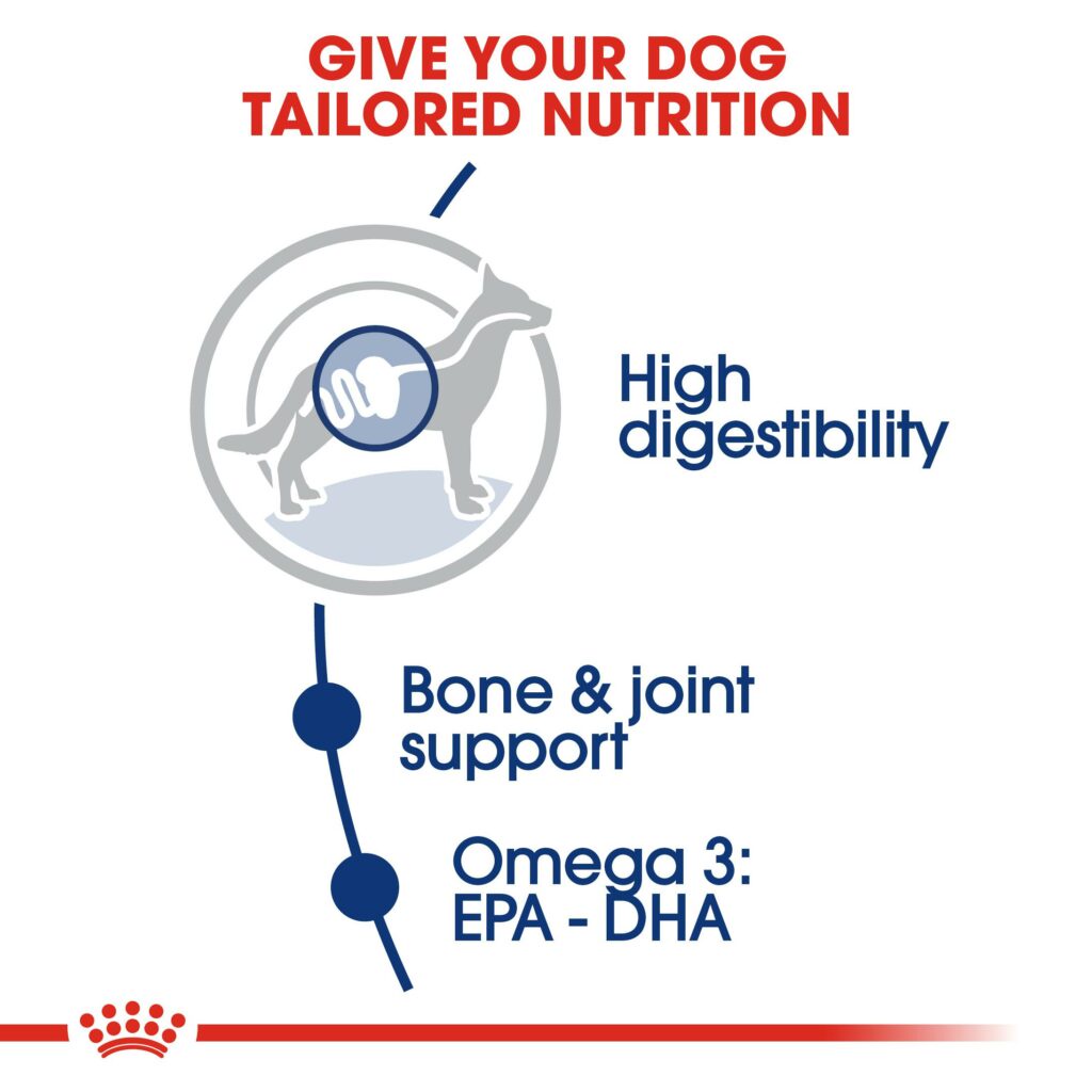 [10kg] Hạt Royal Canin Maxi Adult Cho Chó Trưởng Thành Giống Lớn