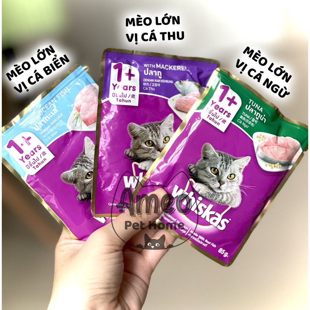 Combo Tiết Kiệm 13 gói - Combo Pate Mix Vị (Whiskas, 5plus, Meowcat, Ciao, AATAS) - Ameo Pet Home