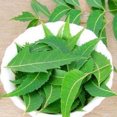 Lá neem khô hút chân không 1kg Tuyền BMT