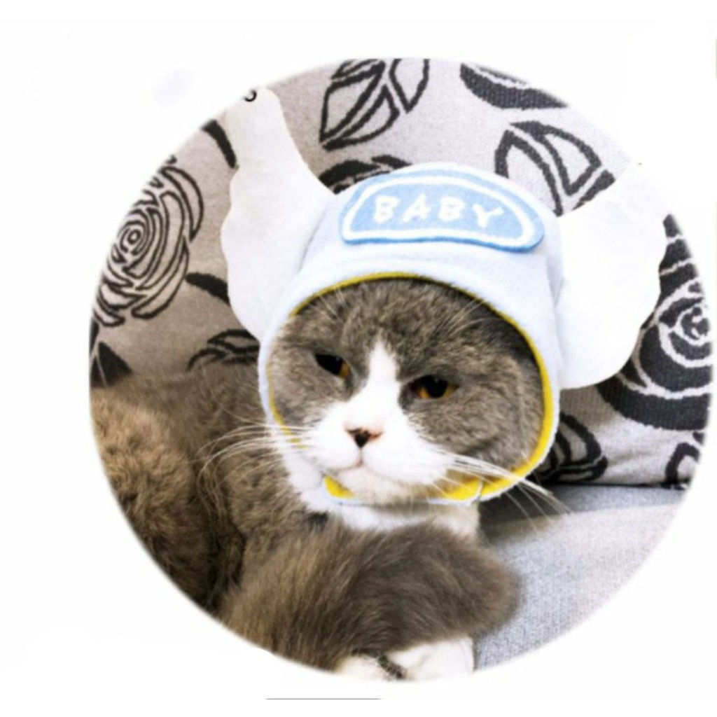 [HCM] Mũ nón kiểu dáng hoạt hình dễ thương dành cho chó mèo, cho thú cưng hóa trang tạo dáng siêu đáng yêu