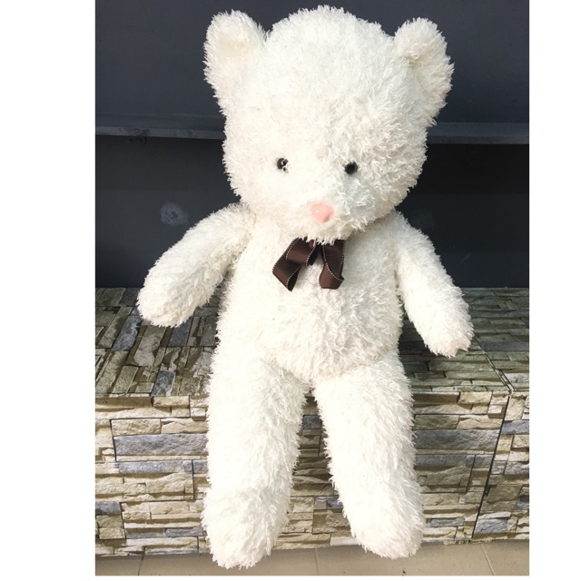 Teddy trắng lông xoắn 1m1