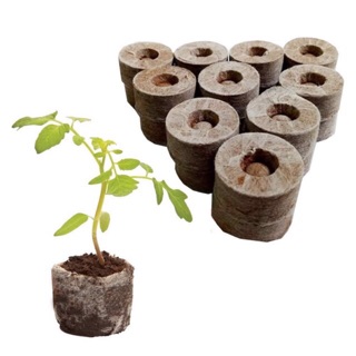 30 Viên Nén Xơ dừa Ươm hạt giống