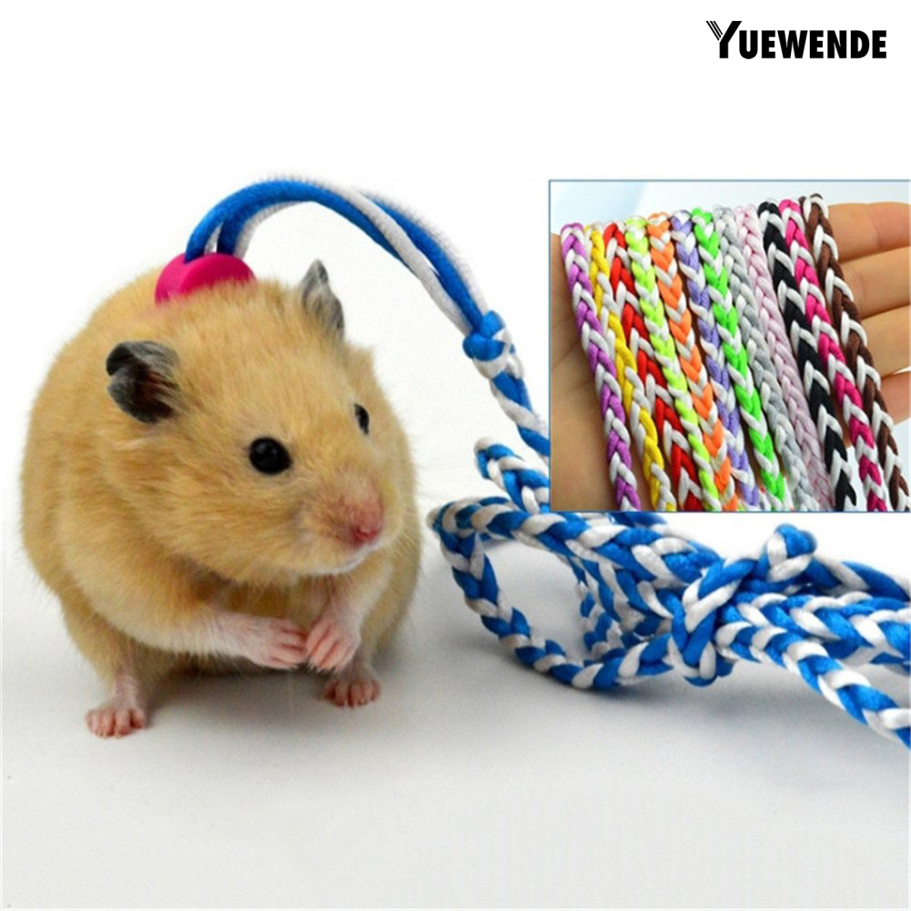 Dây Dắt Chuột Hamster/Thỏ Đi Dạo Tiện Dụng Dài 1.4/2m