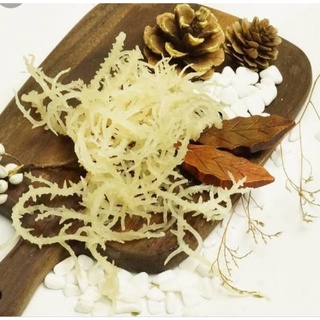 Rong sụn khô gói 500gram