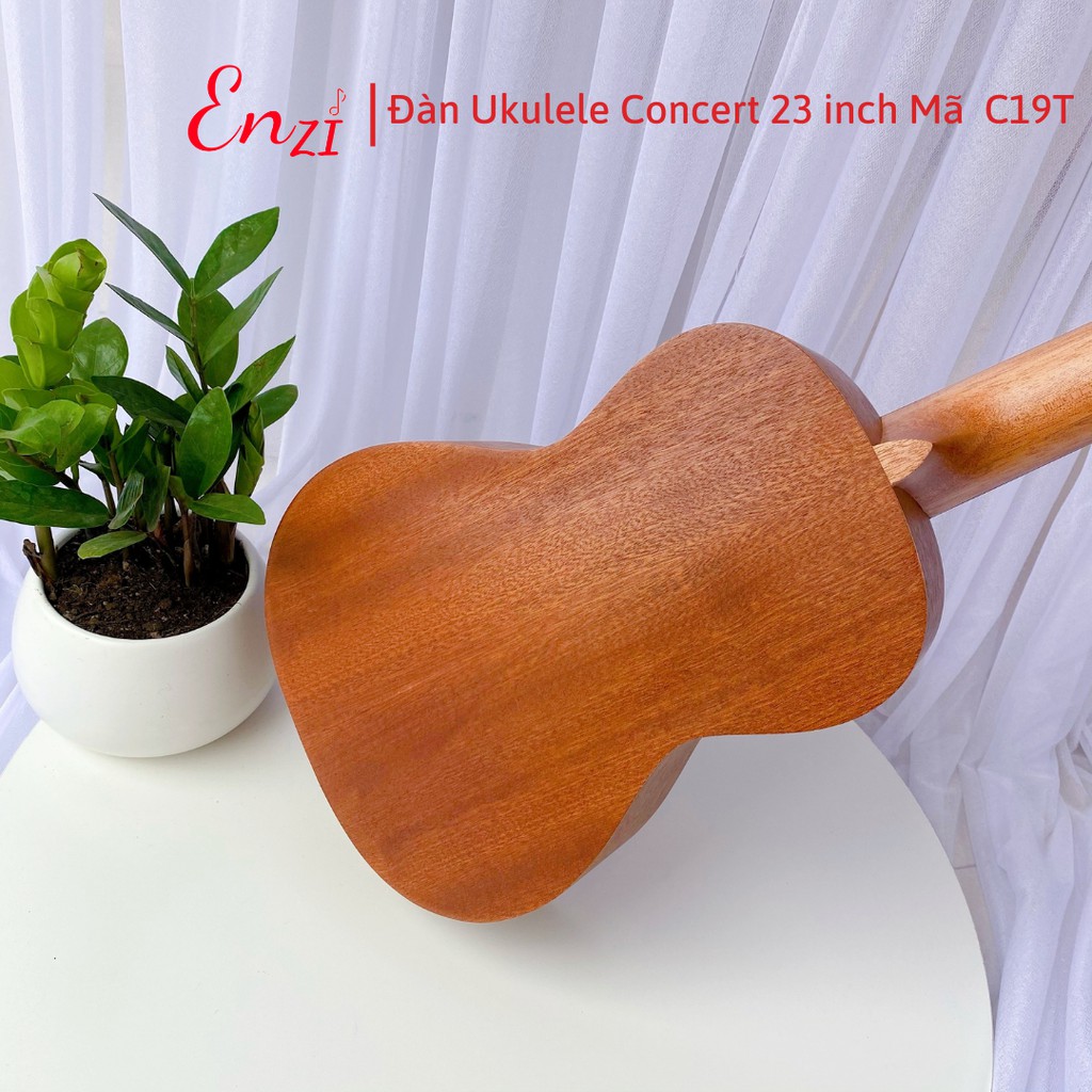 Đàn ukulele concert mã C19T Enzi 21 inch gỗ mộc trơn giá rẻ cho bạn mới bắt đầu tập chơi