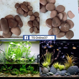 Đá Cuội Nâu - Sỏi Cuội Trang trí - Bể Cá Bể thuỷ sinh