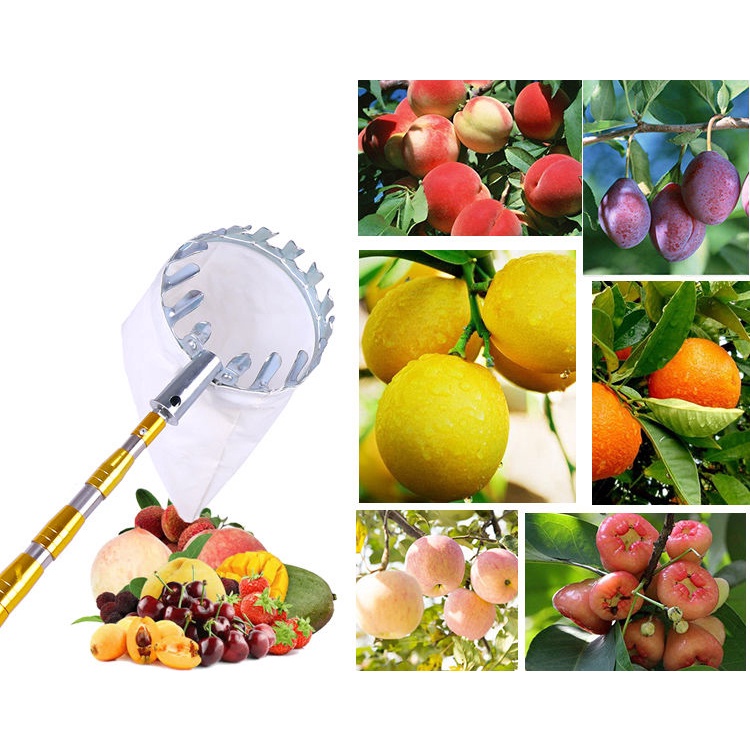 Dụng Cụ Hái Trái Cây Đa Năng Tiên Dụng Kèm Túi Vải Siêu Bền