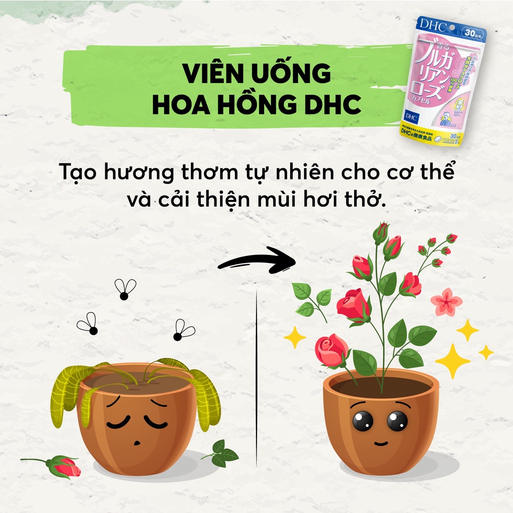 Viên Uống Hoa Hồng Thơm Cơ Thể - Viên Uống Thơm Cơ Thể, VIên Uống Khử Mùi Cơ Thể Nội Địa Nhật Panda