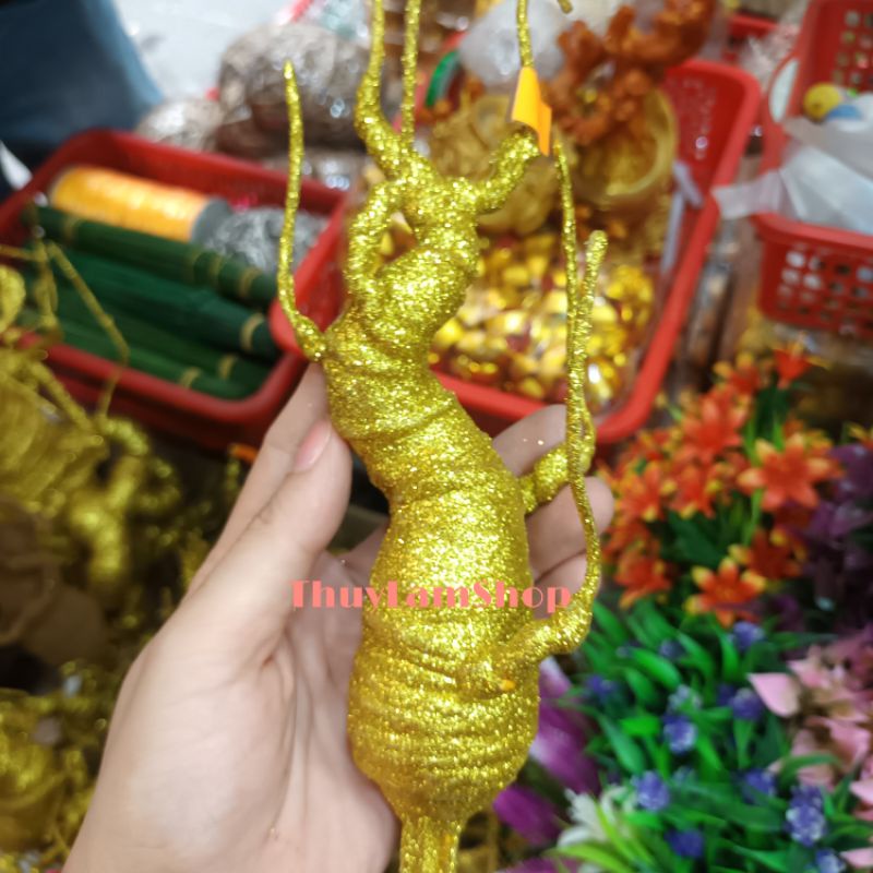 Gốc cây bon sai làm cây cành vàng lá ngọc có nhiều kích thước