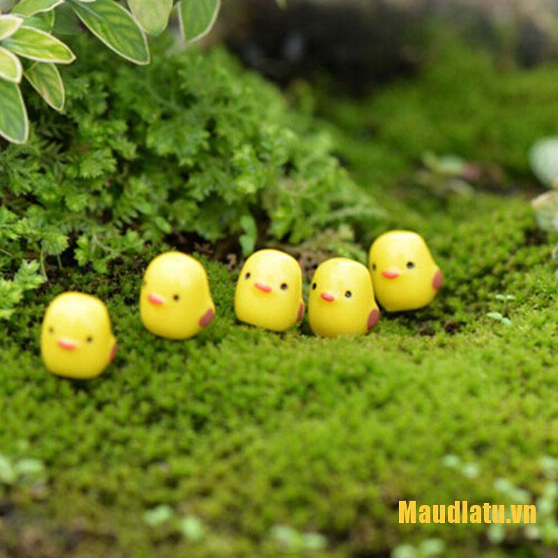 Set 5 Mô Hình Gà Con Mini Trang Trí Sân Vườn