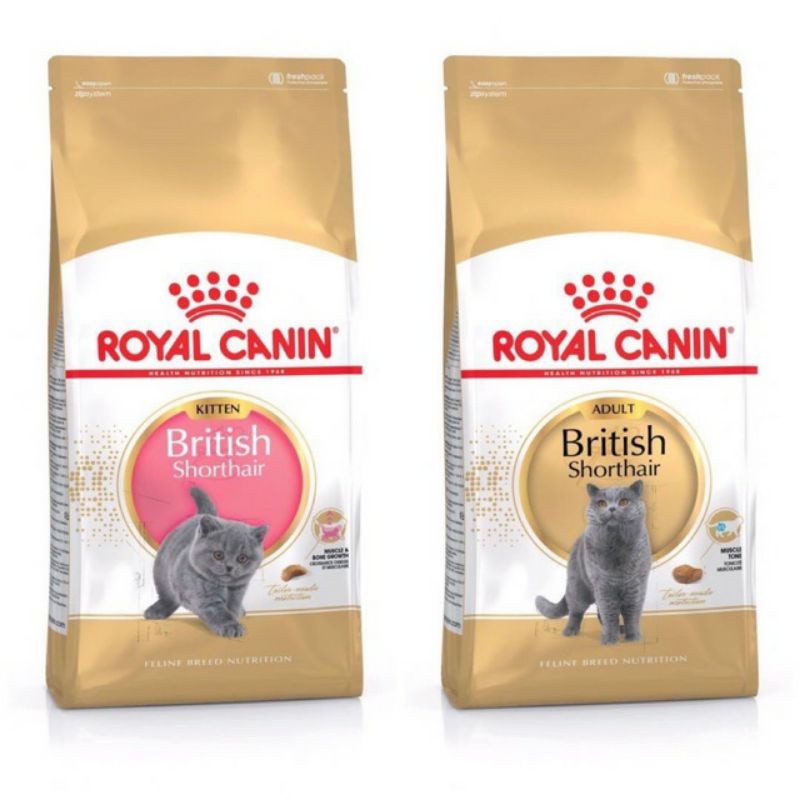 royal canin britsh shorthair hạt cho mèo túi 2kg