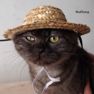 Nón Cối Rộng Vành Cho Thú Cưng