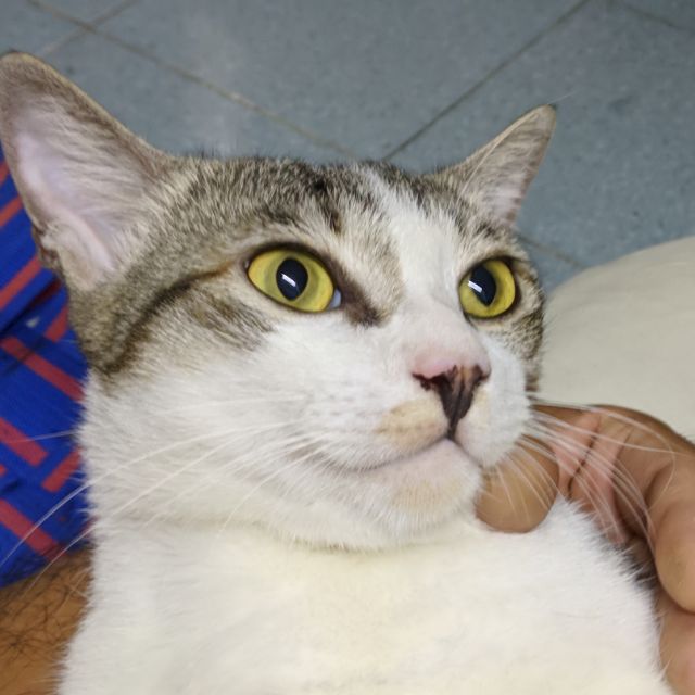 toanpham2105, Cửa hàng trực tuyến | BigBuy360 - bigbuy360.vn