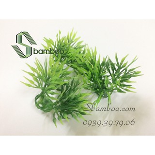CÂY BỤI SBAMBOO