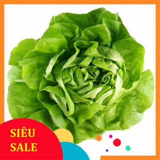 2g Hạt giống Xà lách búp