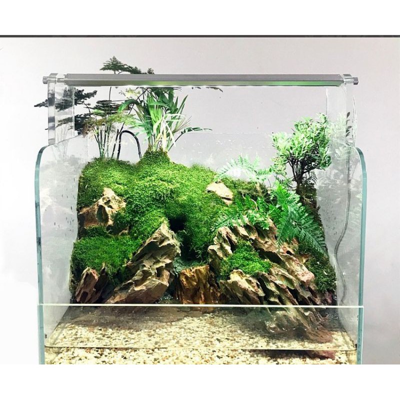 Đèn Week Raptor WRGB M-seri bản mới nhất năm 2021