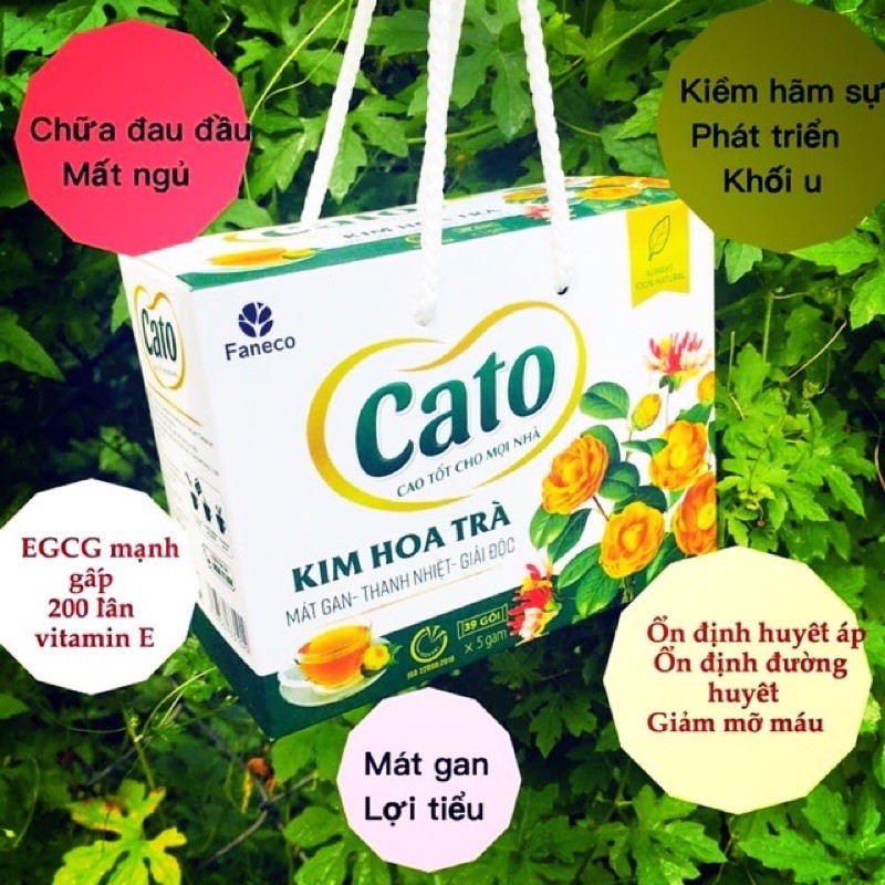 KIM HOA TRÀ CATO GIÚP MÁT GAN, THANH NHIỆT