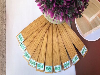 MÃ 6045 LG NẸP CHỈ NHỰA PVC DÁN CẠNH GỖ CHẤT LƯỢNG, VIỀN BÀN GHẾ,100M*21MM