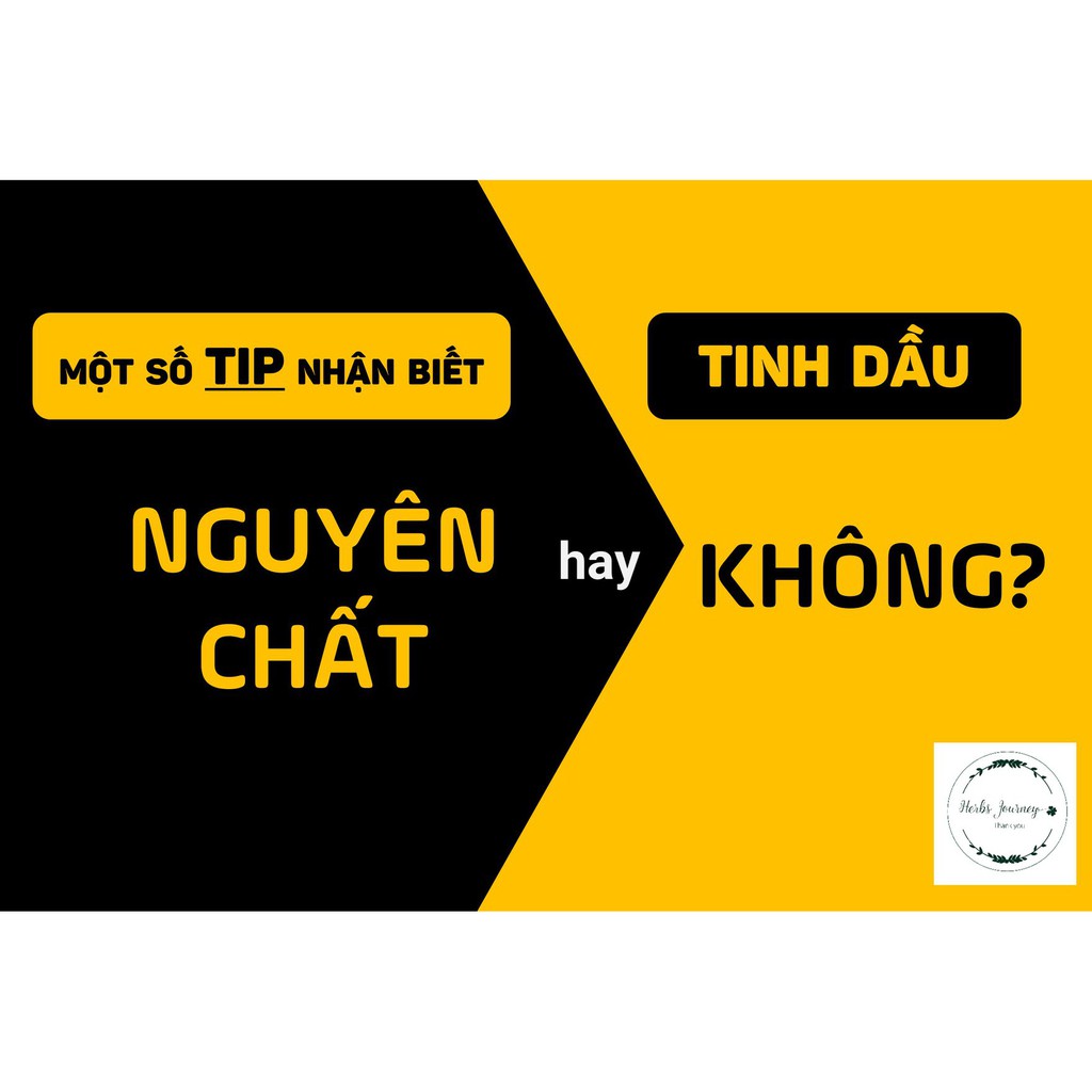 Tinh dầu Ngải Cứu cao cấp - BEFINE - Tinh dầu nguyên chất chưng cất tự nhiên - Xoa bóp chống viêm giảm đau