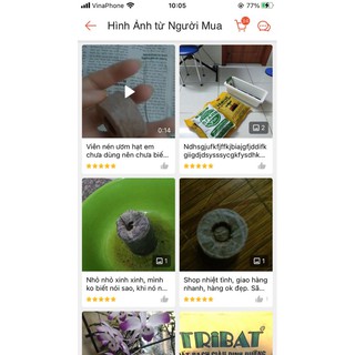 Viên nén ươm hạt