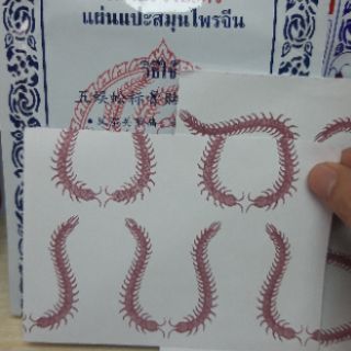 CAO DÁN CON RẾT (thái lan)