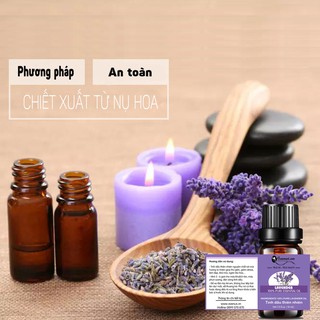 Tinh dầu Lavender Avenus chai 10ml