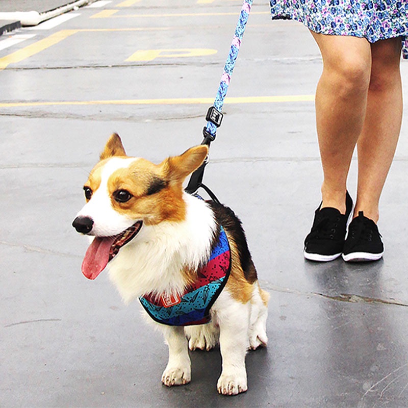 HamshMoc Dây Dắt Thú Cưng Đi Dạo Chất Liệu Nilon Mềm Kèm Móc Tiện Dụng Cho Cún Cưng Cỡ Nhỏ / Vừa / Lớn