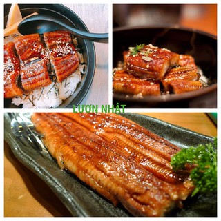 LƯƠN NHẬT NƯỚNG SỐT KABAYAKI - giá hủy diệt