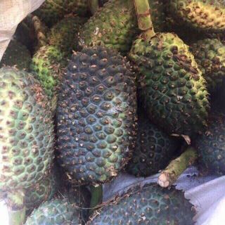1kg dứa dại rừng khô